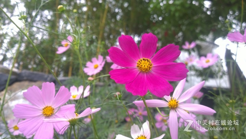 诺基亚1020，2013年的手机！！！