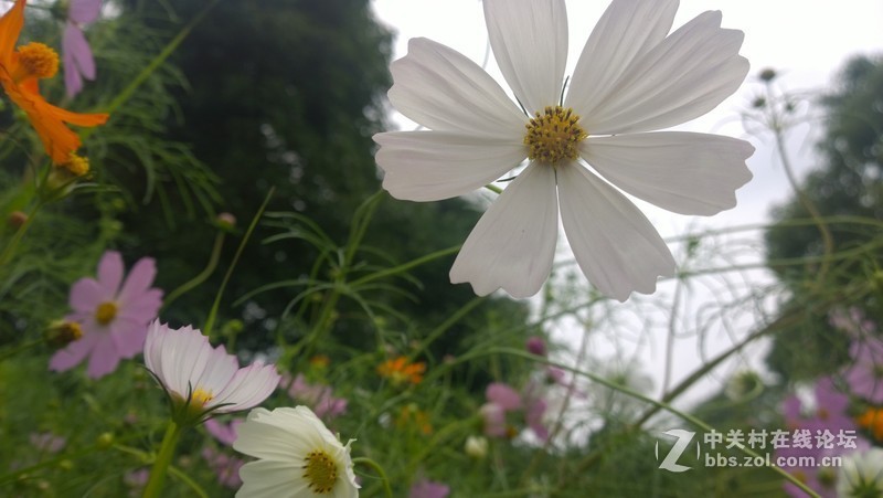 诺基亚1020，2013年的手机！！！