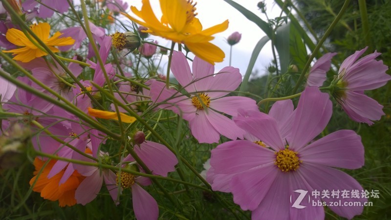 诺基亚1020，2013年的手机！！！