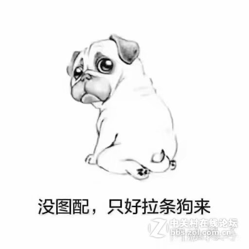 新人一枚，遵守规则！