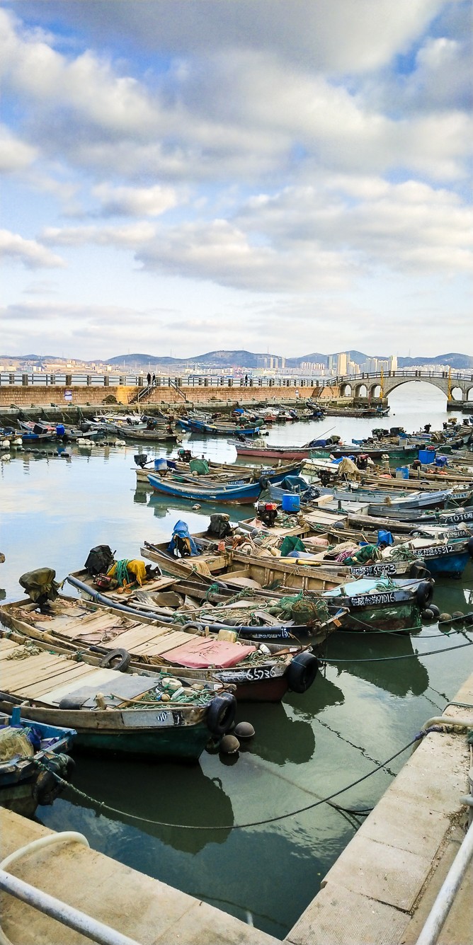 嗮嗮vivo X20的拍照效果 p9