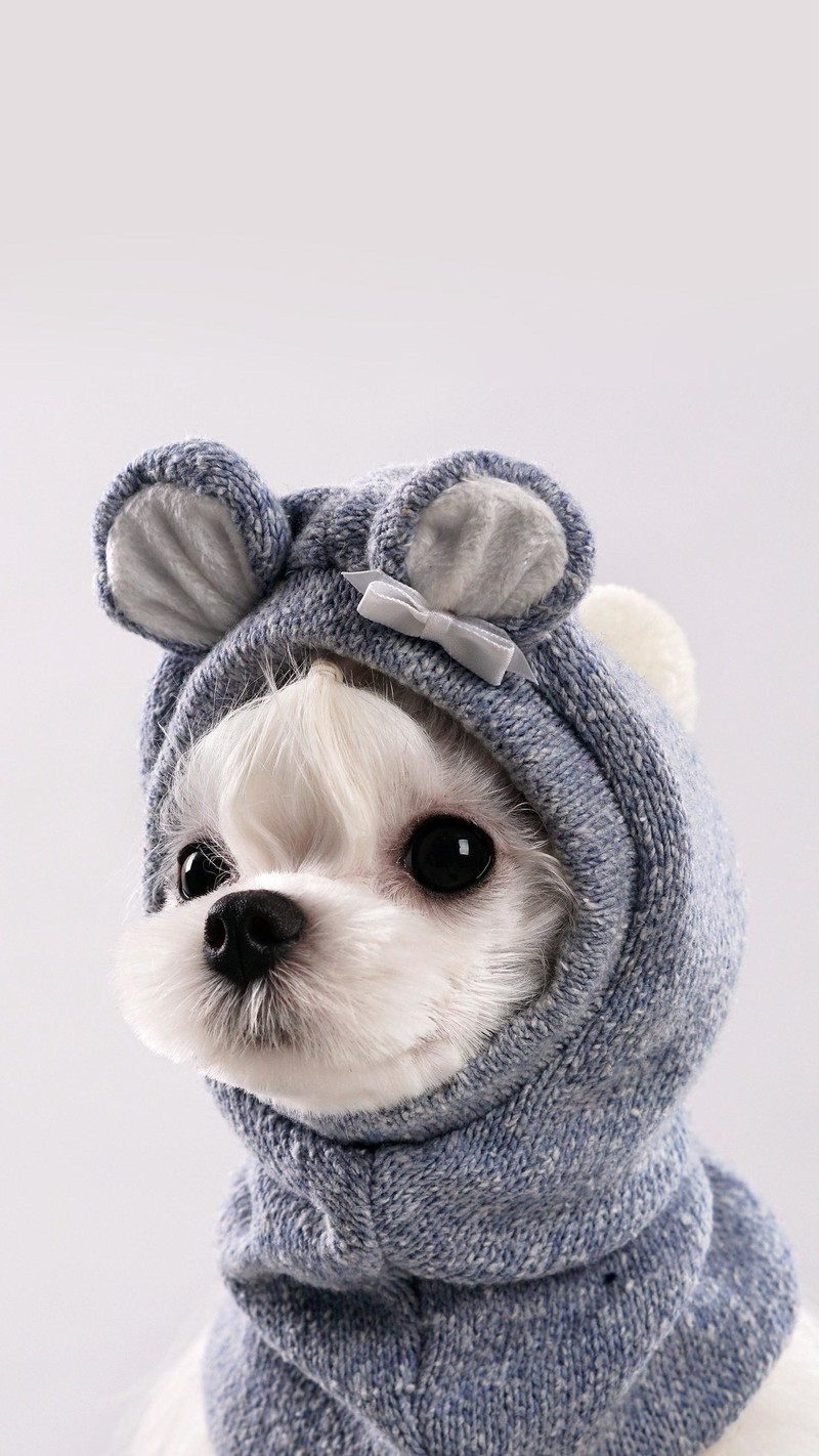 杂志锁屏壁纸0224