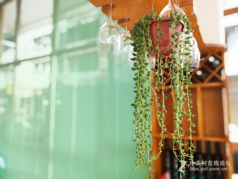 刚入手S10 试拍几张图片