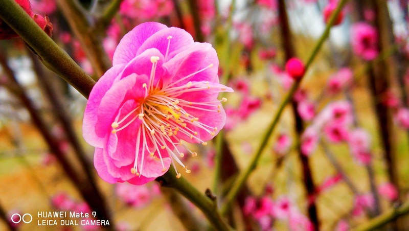 天屿湖 武汉的后花园