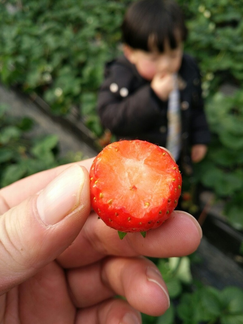 论拍照5依然强大！