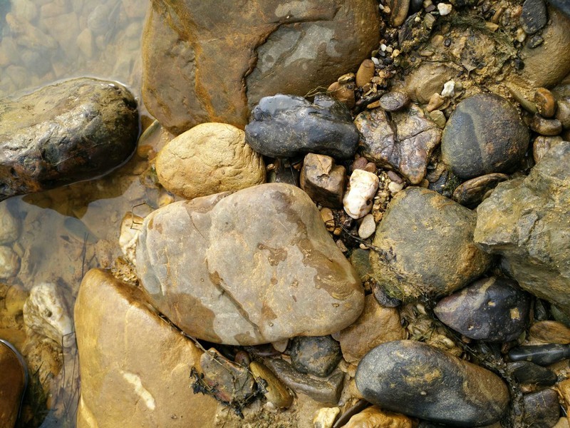 论拍照5依然强大！