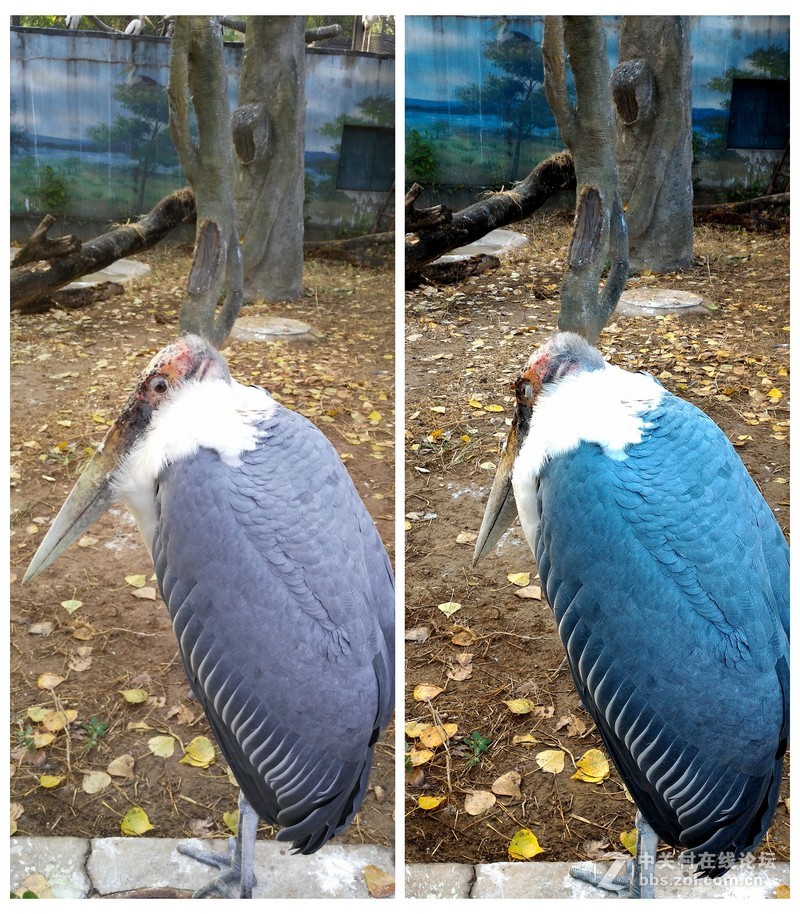 华硕神拍机ZenFone Selfie棋逢对手？