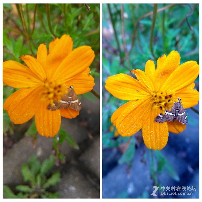 华硕神拍机ZenFone Selfie棋逢对手？