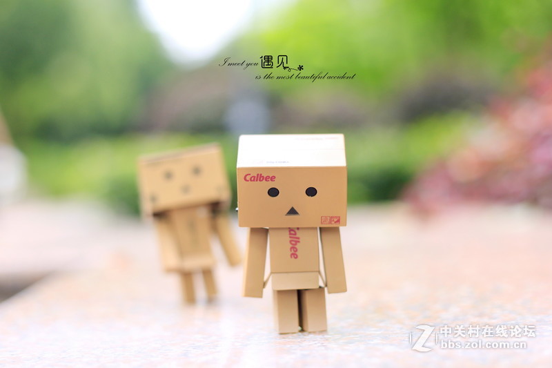 纸盒人，阿楞！