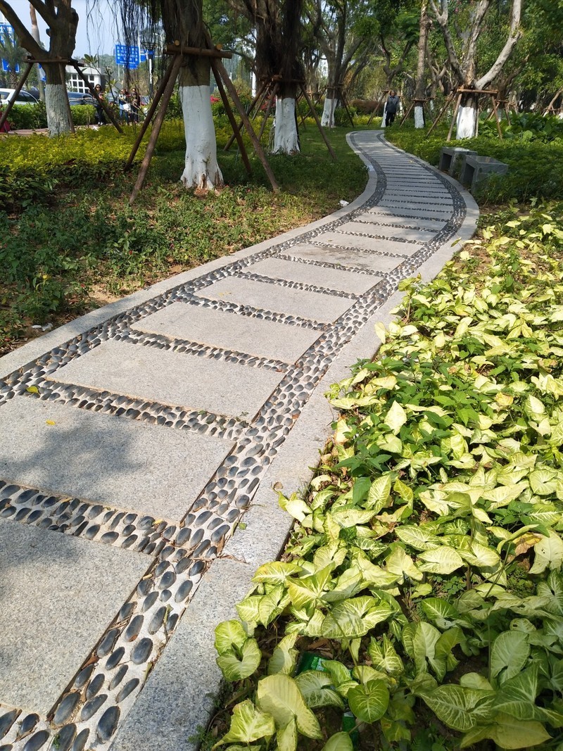 #柔光照亮跨年夜vivo X9十城跨年试用#拍照评测篇--美，无处不在！