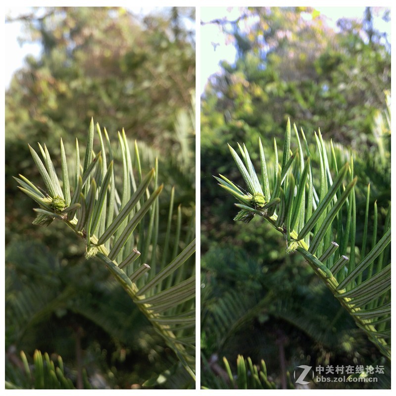 华硕神拍机ZenFone Selfie棋逢对手？