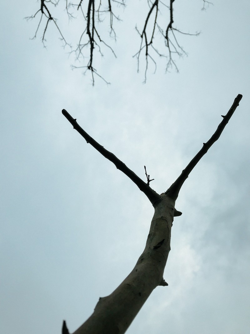 人在旅途，iPhone7记录的点滴