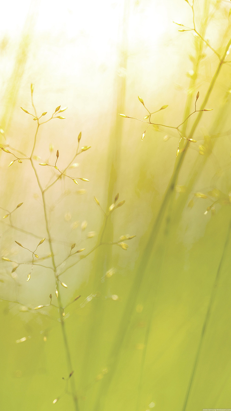 发一些唯美的1440*2560竖屏壁纸，可以打包下载