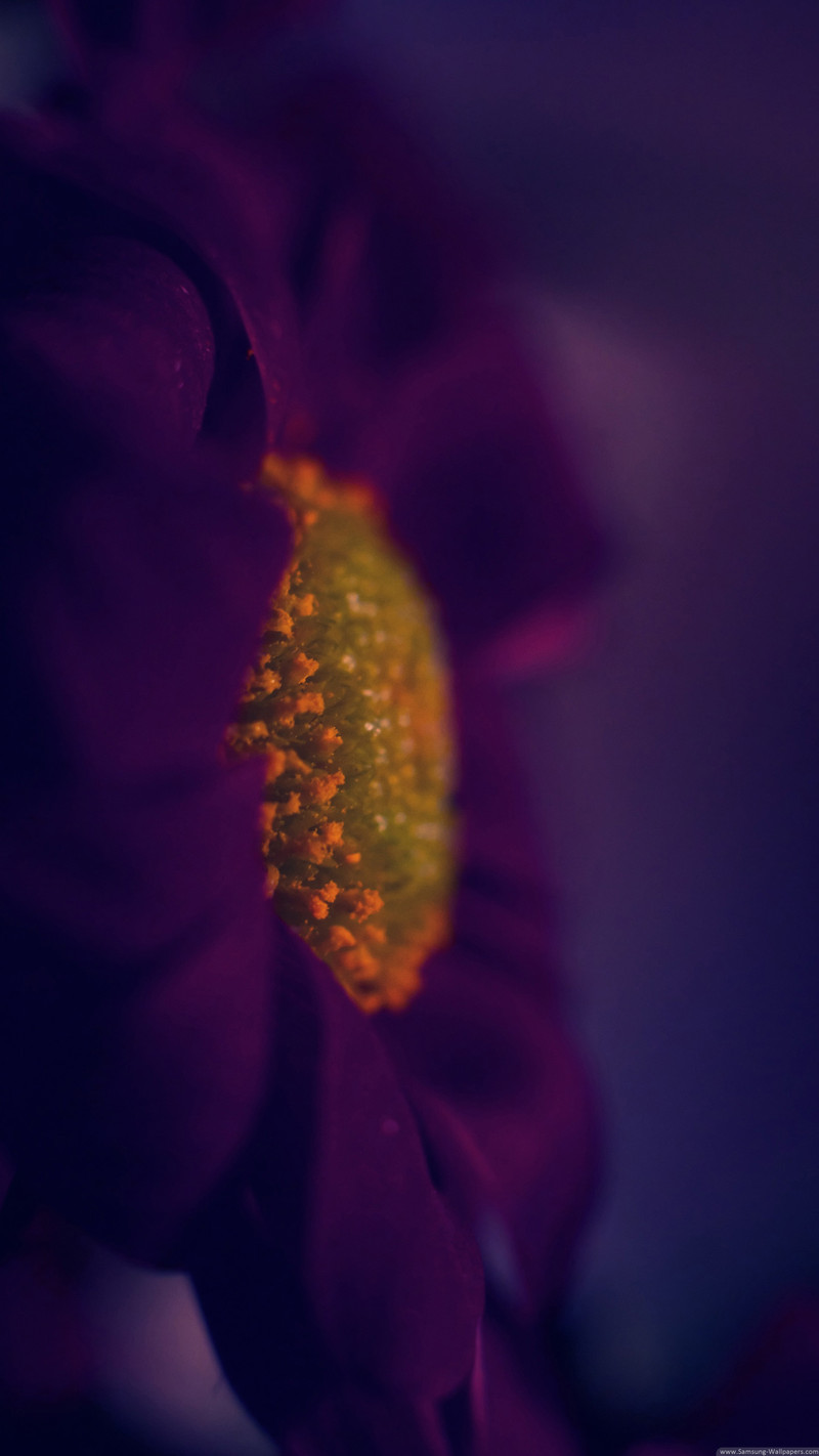 发一些唯美的1440*2560竖屏壁纸，可以打包下载