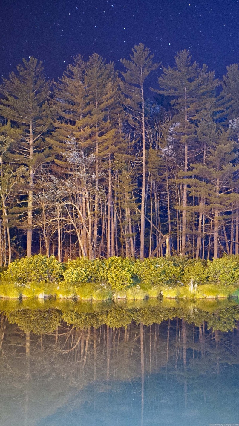 发一些唯美的1440*2560竖屏壁纸，可以打包下载