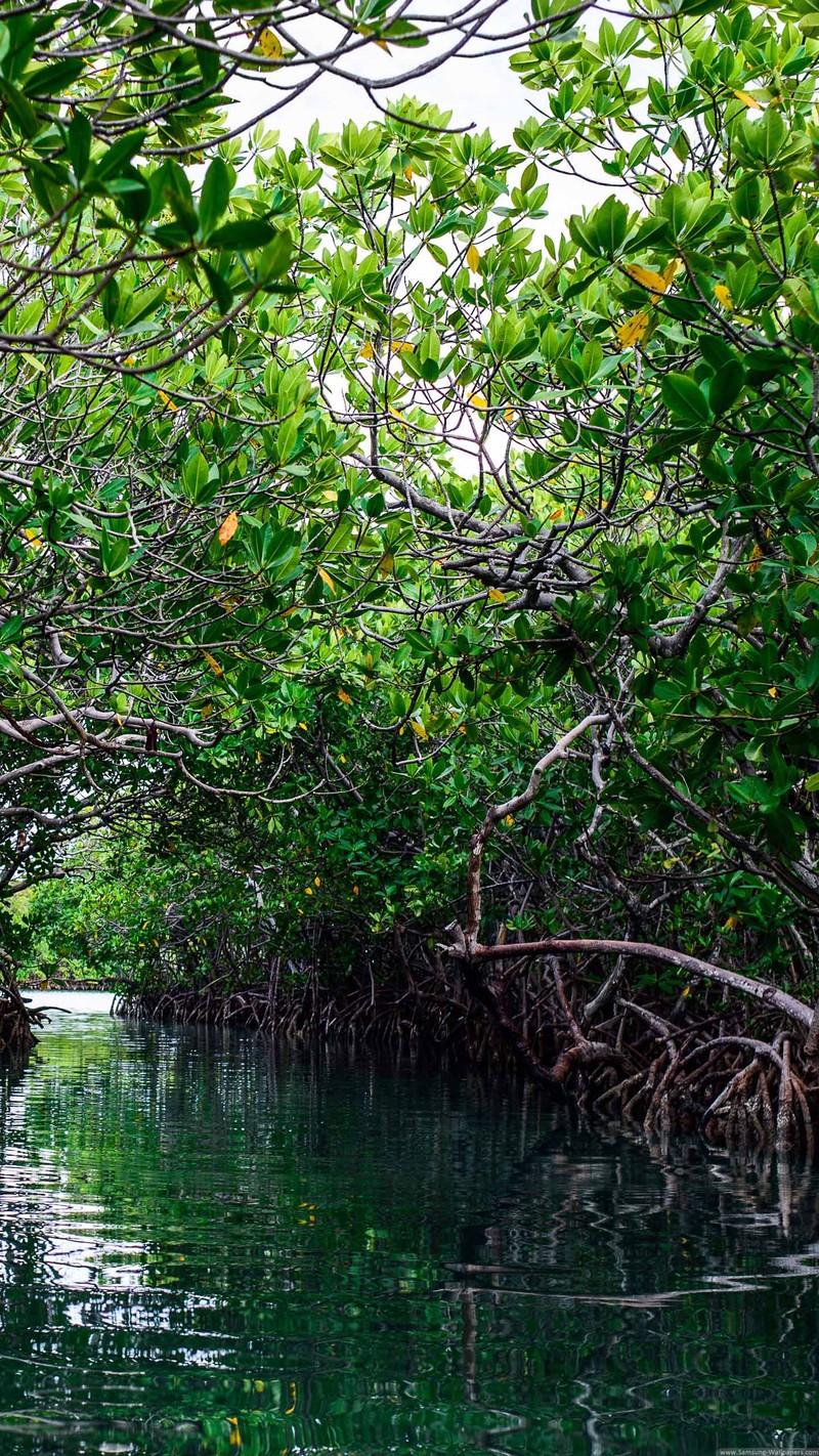 发一些唯美的1440*2560竖屏壁纸，可以打包下载