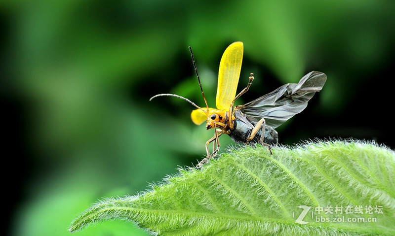＃那么爱眼，那么爱你＃——智慧爱眼型显示器，养眼，更爱眼！（视频）