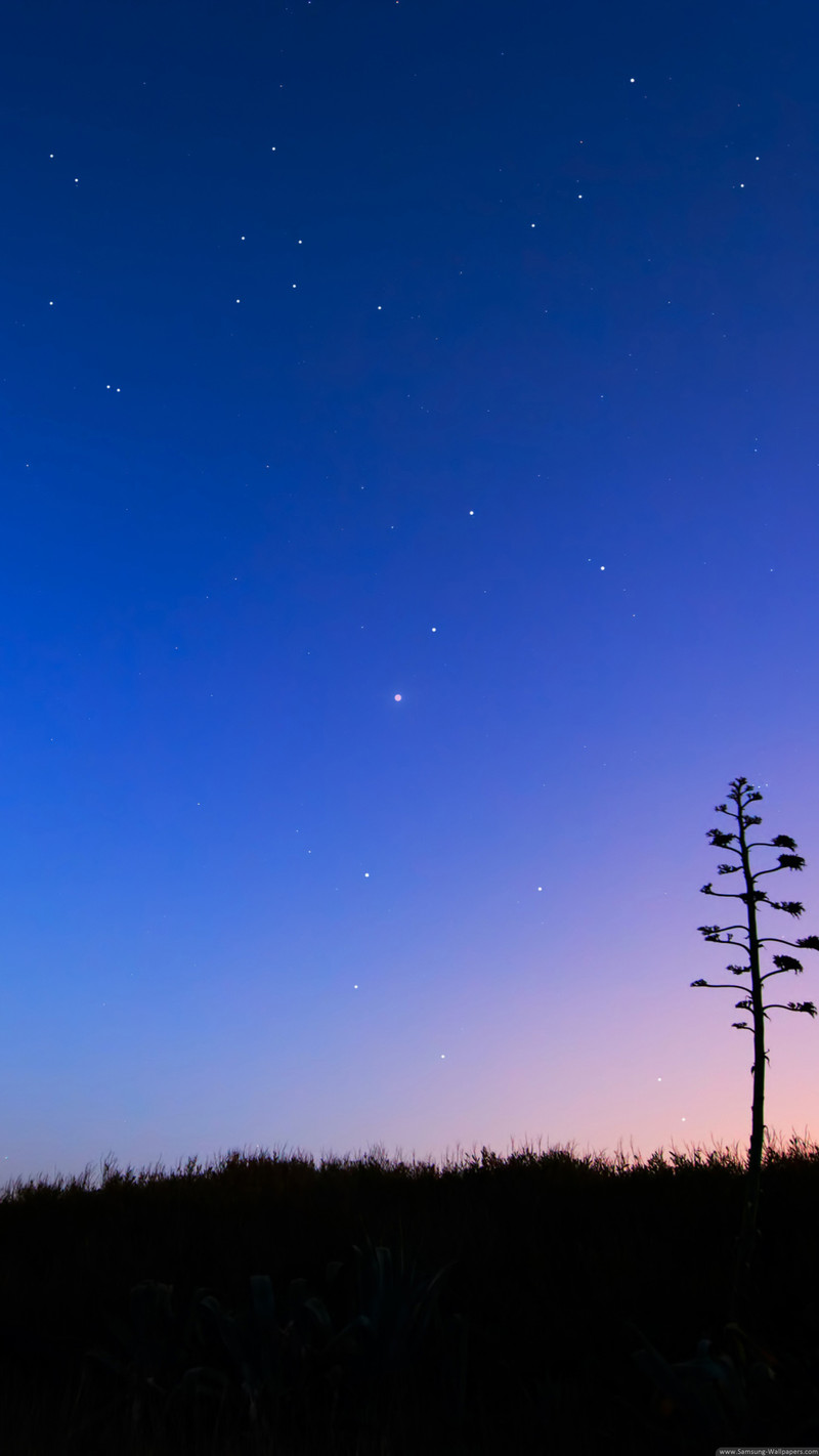 发一些唯美的1440*2560竖屏壁纸，可以打包下载