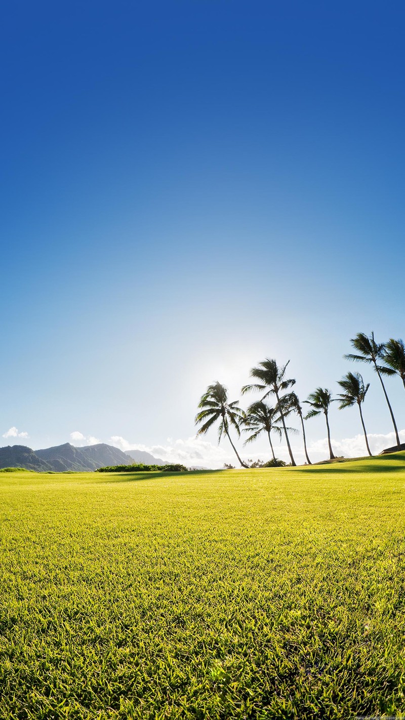 发一些唯美的1440*2560竖屏壁纸，可以打包下载