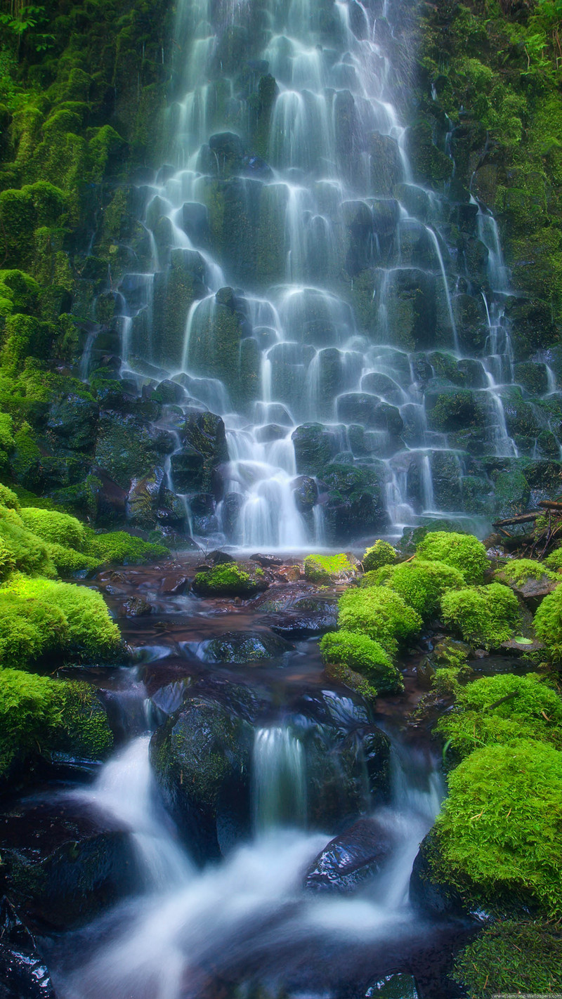 发一些唯美的1440*2560竖屏壁纸，可以打包下载