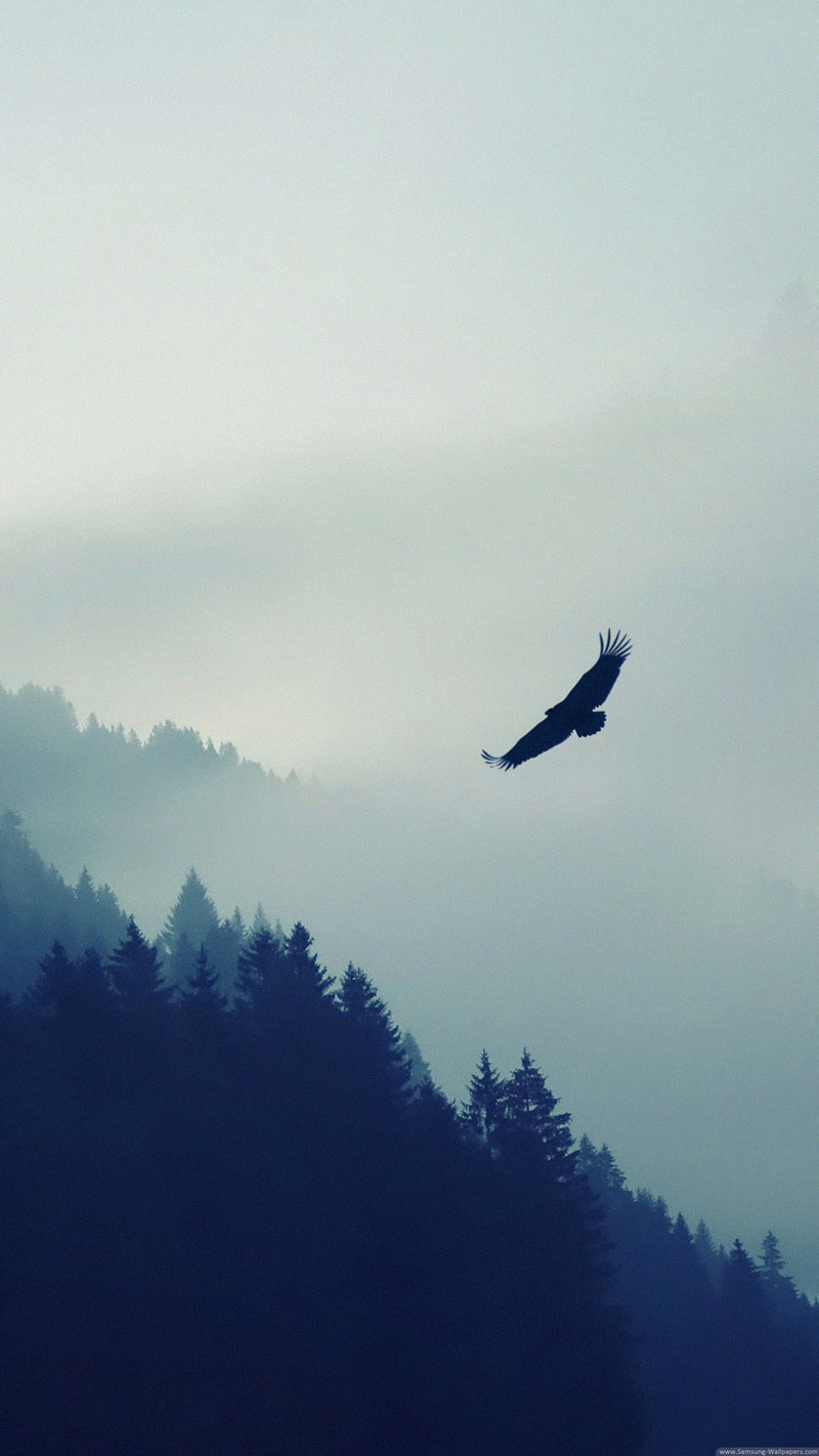 发一些唯美的1440*2560竖屏壁纸，可以打包下载