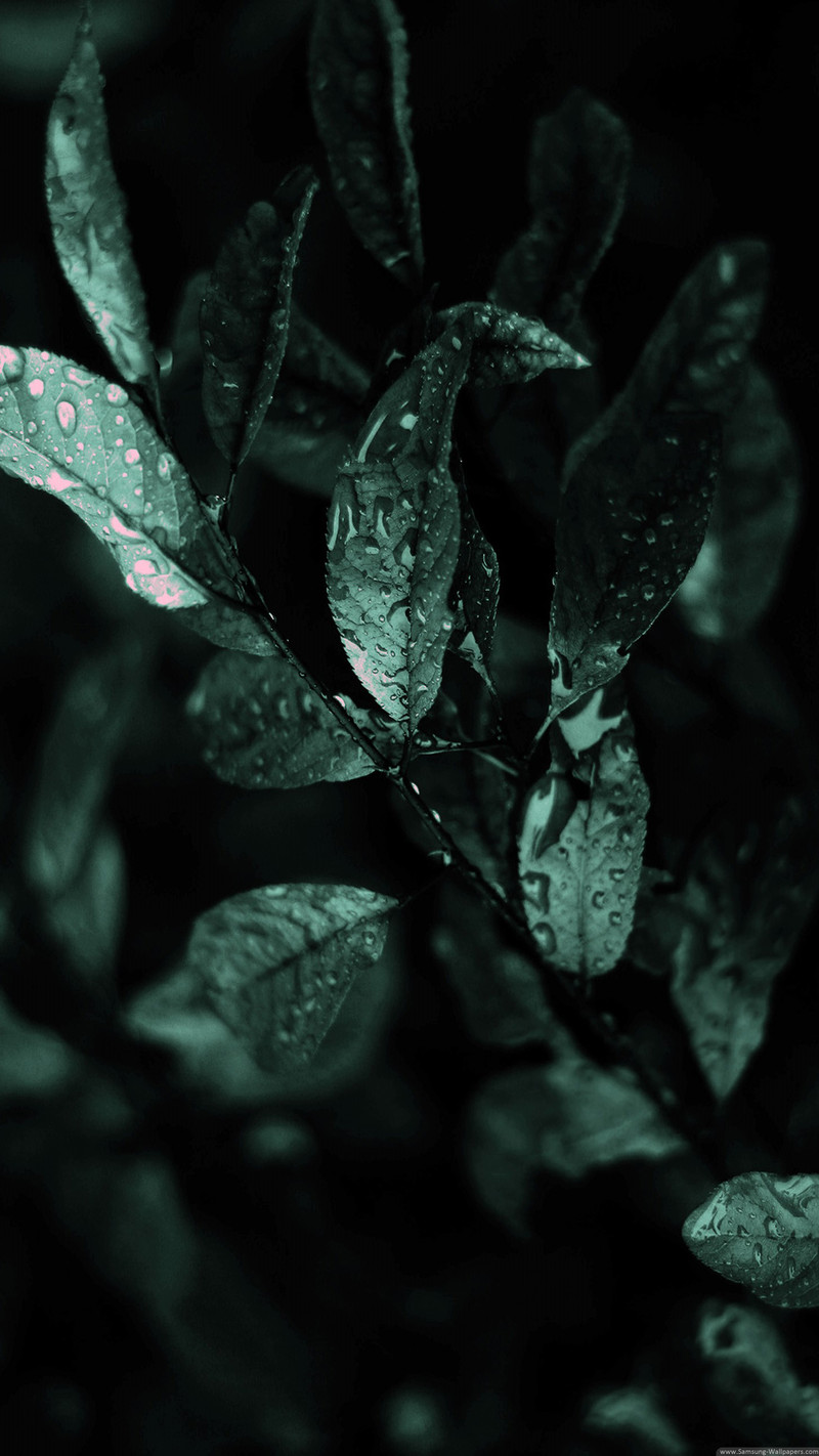 发一些唯美的1440*2560竖屏壁纸，可以打包下载