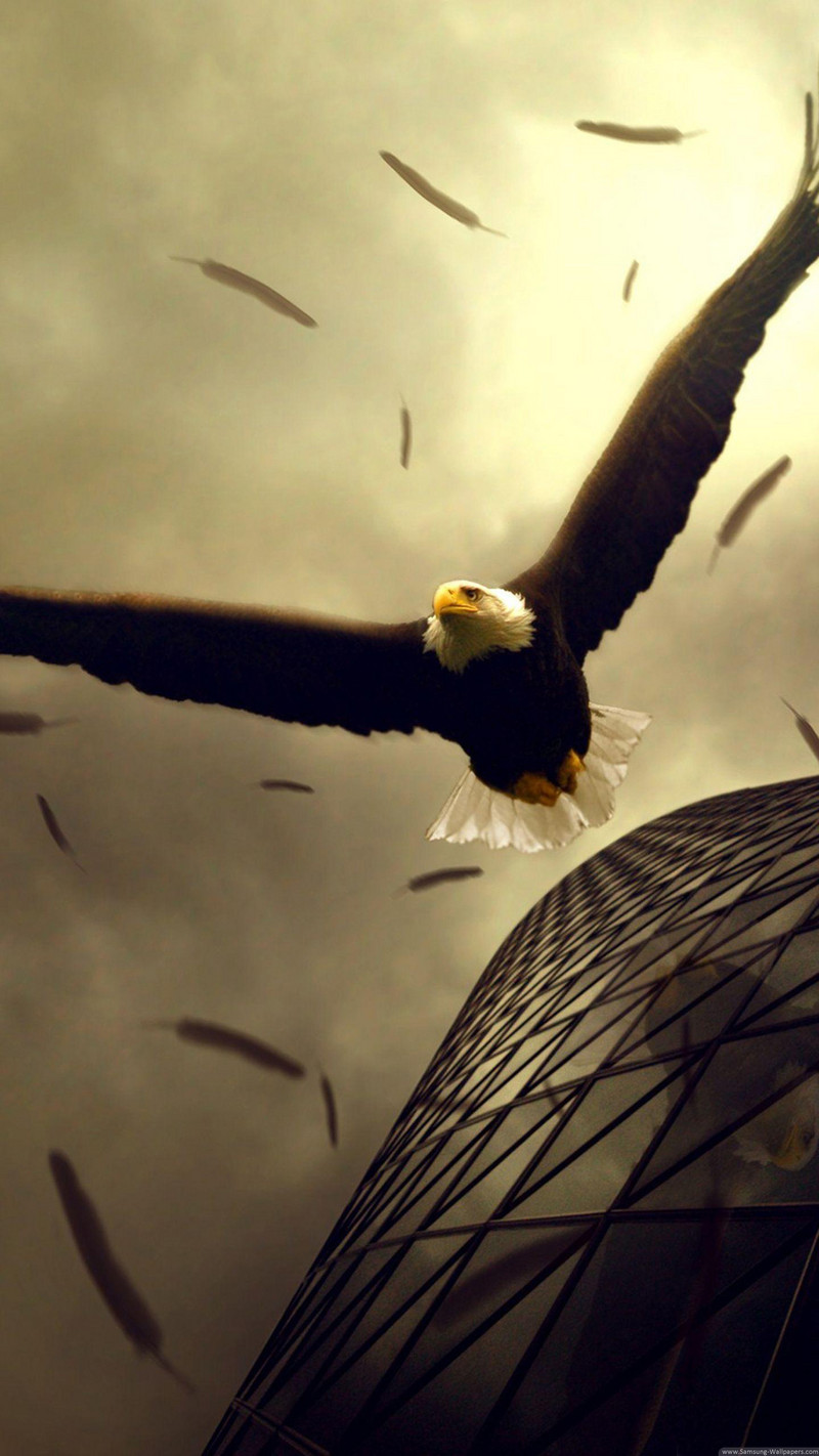 发一些唯美的1440*2560竖屏壁纸，可以打包下载