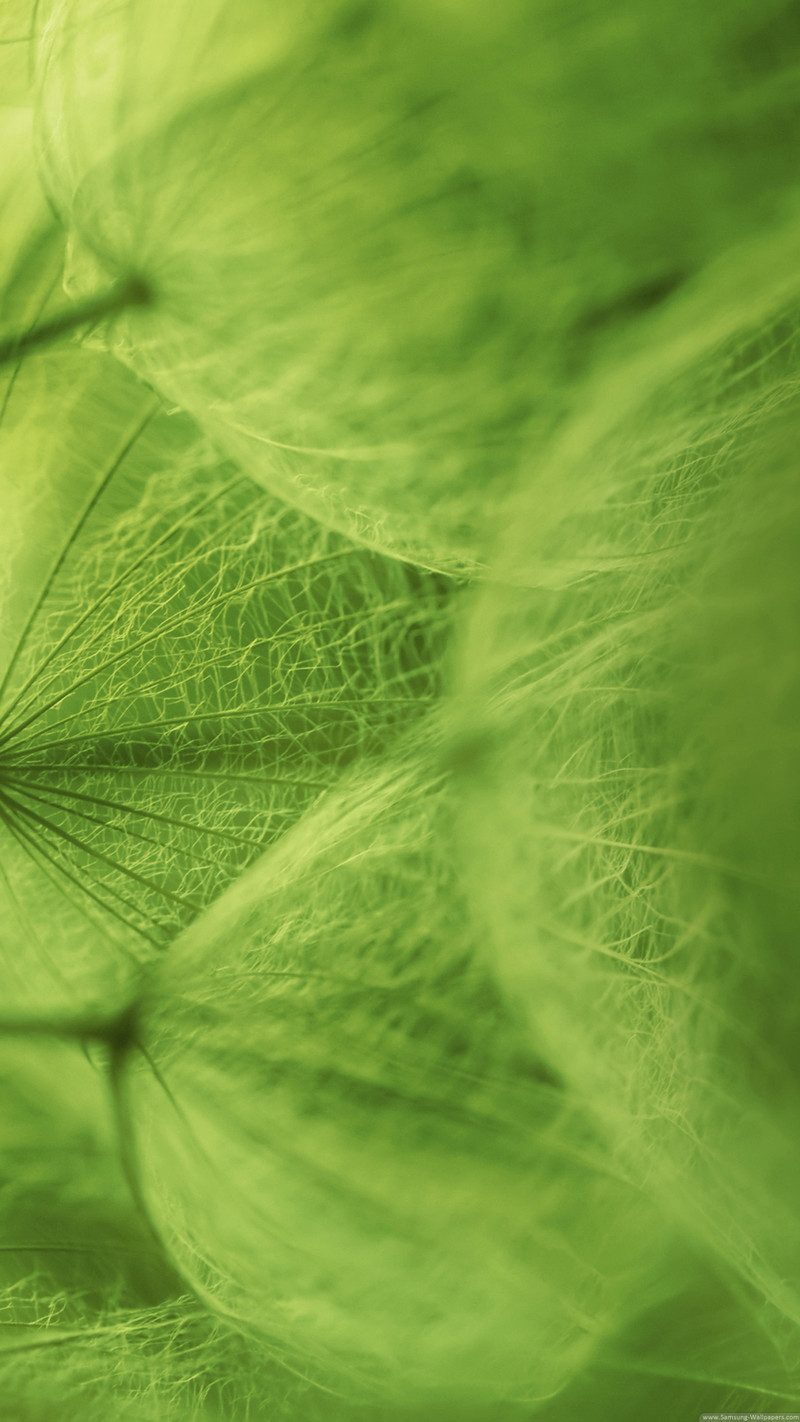 发一些唯美的1440*2560竖屏壁纸，可以打包下载