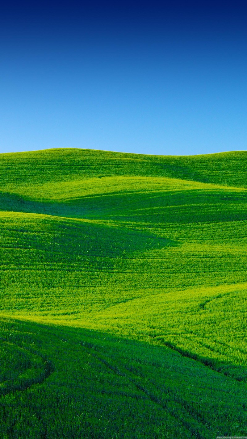 发一些唯美的1440*2560竖屏壁纸，可以打包下载