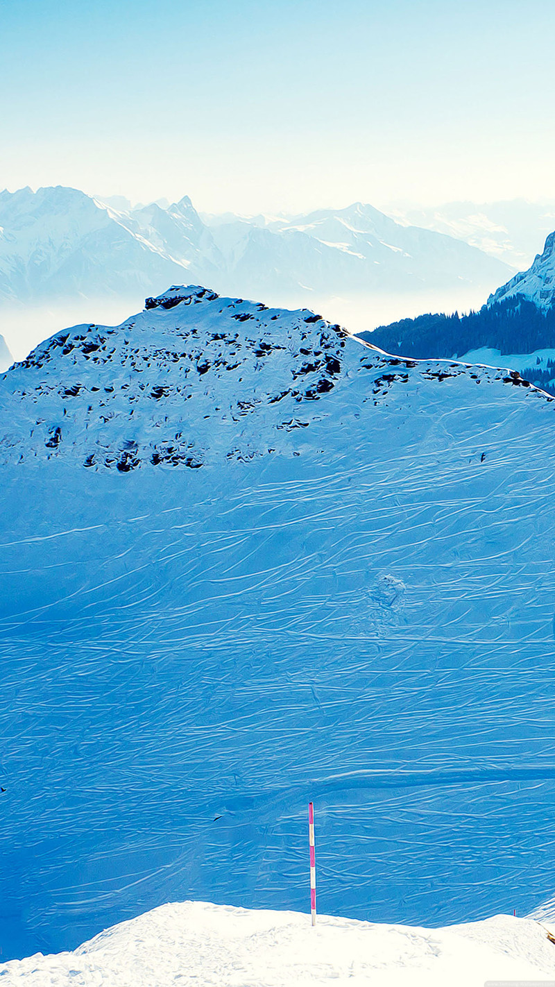 发一些唯美的1440*2560竖屏壁纸，可以打包下载