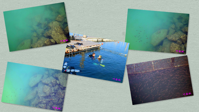 漫步人生路，聆听天籁音 ——漫步者20周年庆纪实（三）