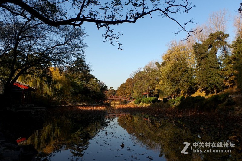 #白塔影集#【晚秋】