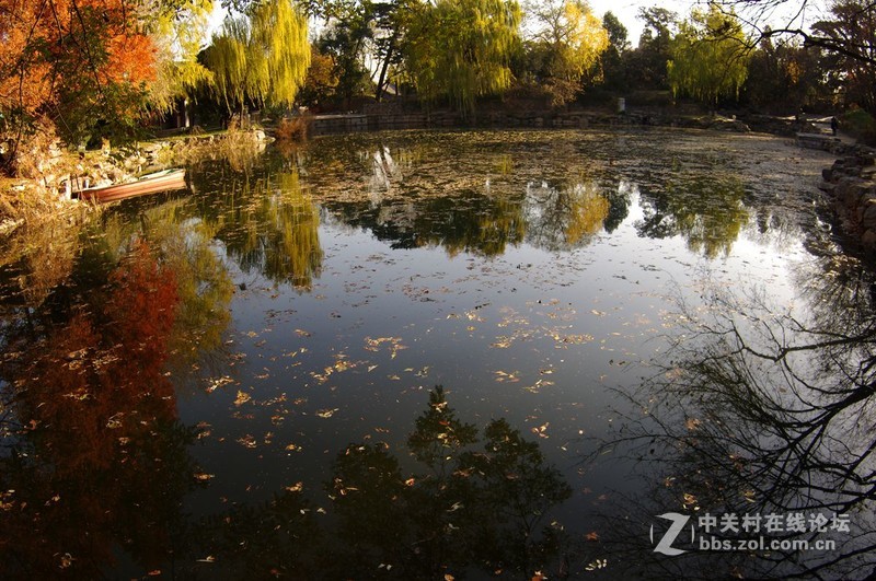 #白塔影集#【晚秋】