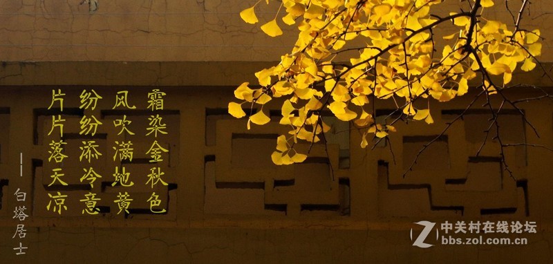 #白塔影集#【晚秋】