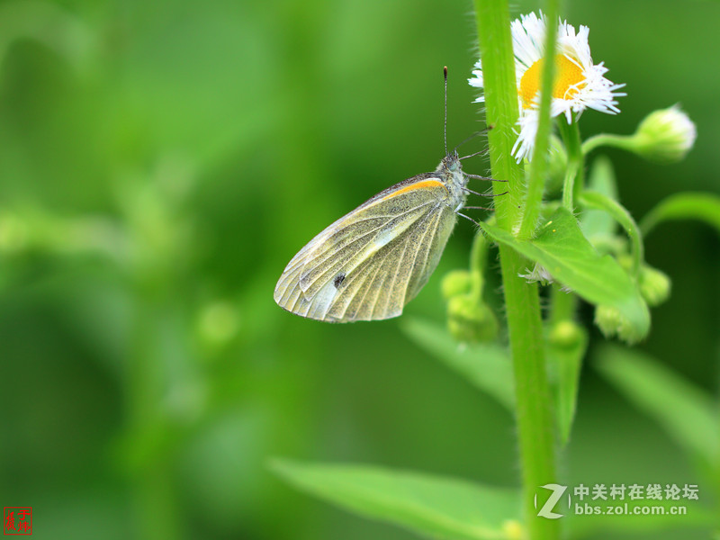 新百微习照 请各位摄友指点