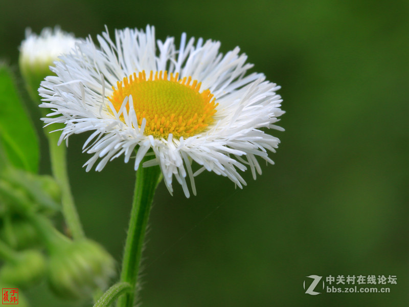 新百微习照 请各位摄友指点