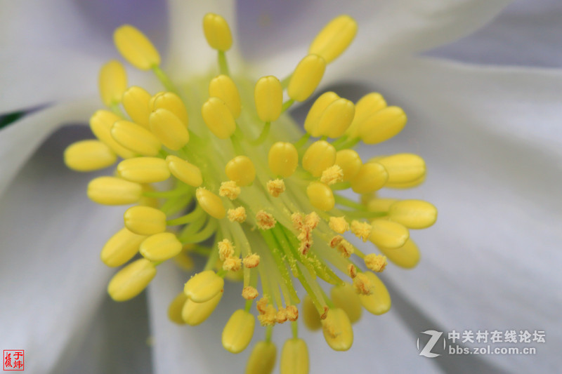 新百微习照 请各位摄友指点