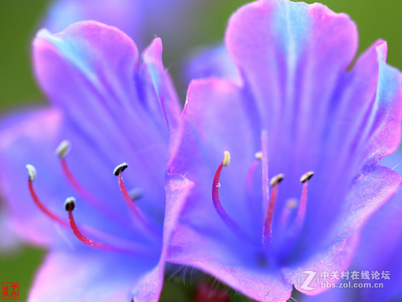 新百微习照 请各位摄友指点