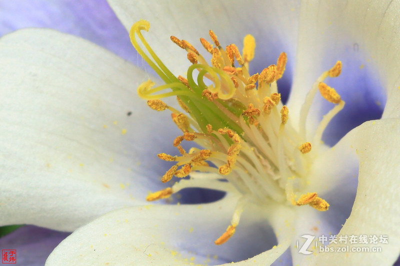 新百微习照 请各位摄友指点