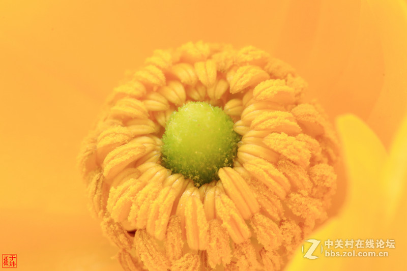 新百微习照 请各位摄友指点