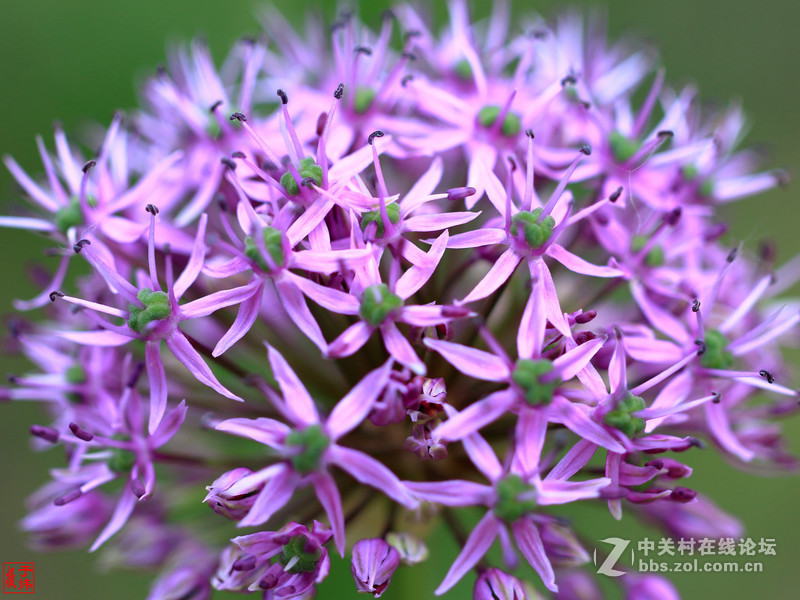 新百微习照 请各位摄友指点