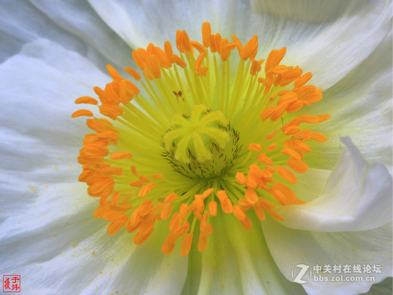 新百微习照 请各位摄友指点