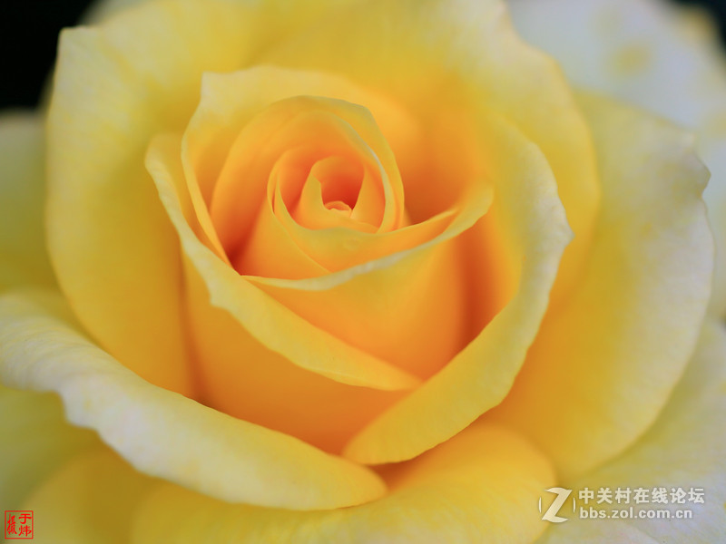 新百微习照 请各位摄友指点