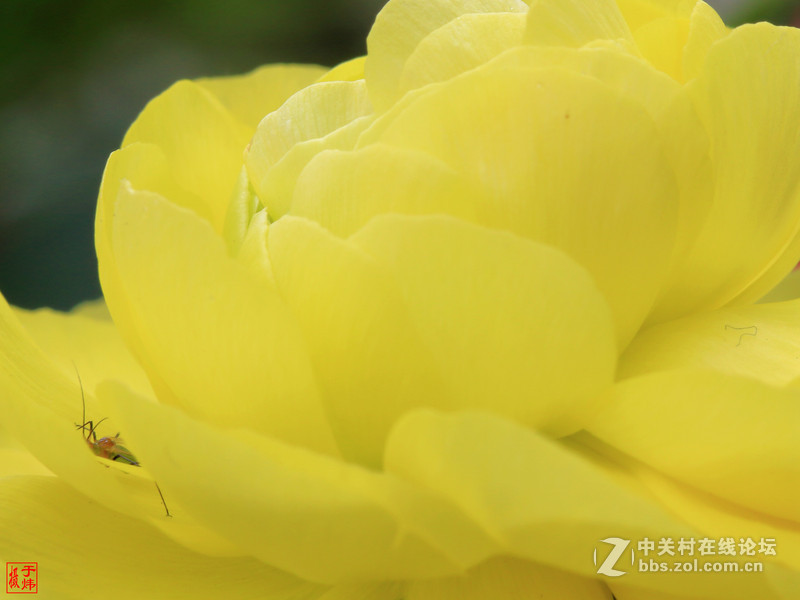 新百微习照 请各位摄友指点