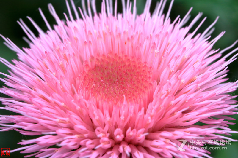 新百微习照 请各位摄友指点