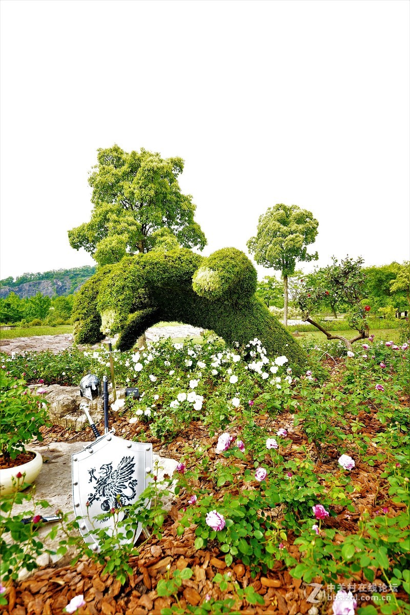 点缀春色 争芳斗妍（2017上海辰山植物园国际月季花展之一）