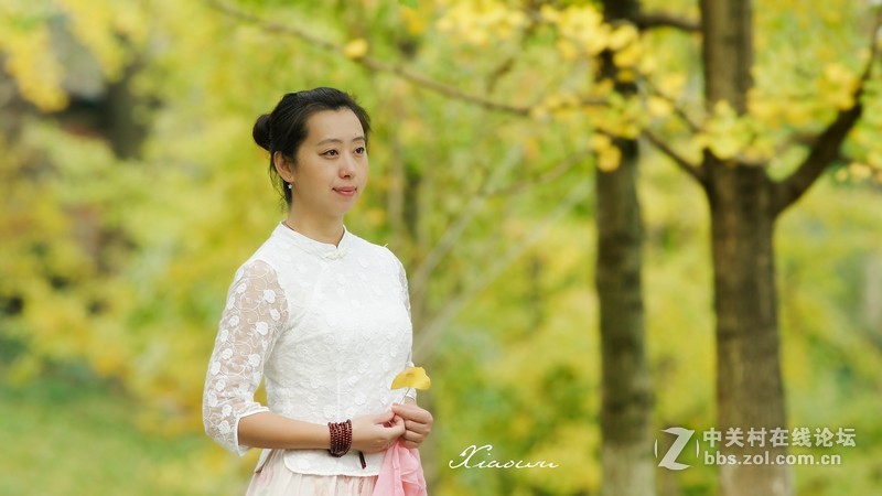 银杏黄了......