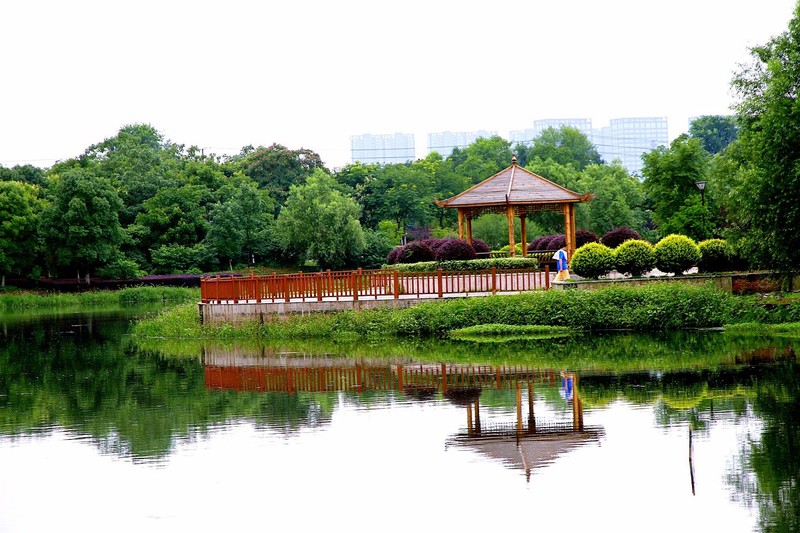 铜陵翠湖公园随拍