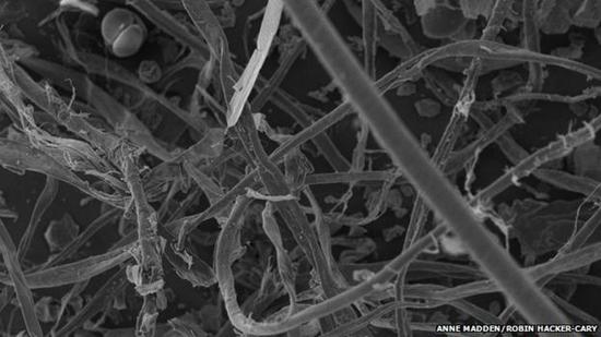 室内尘埃含约9000种微生物：绝大多数对健康无害