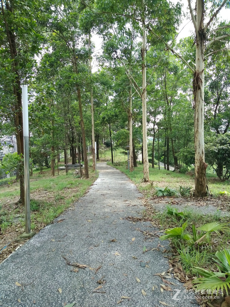 【荣耀畅玩6A试用】荣耀畅玩6A深度体验：趁年轻，畅玩现在